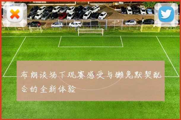 布朗谈场下观赛感受与獭兔默契配合的全新体验