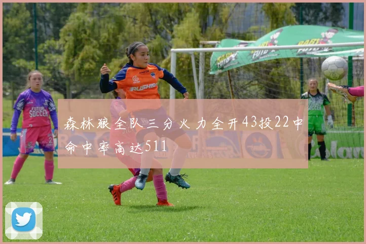 森林狼全队三分火力全开43投22中命中率高达511